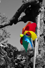 Girandola colorata