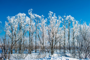 winter landscape in Siberia