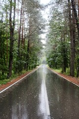 rain on the road