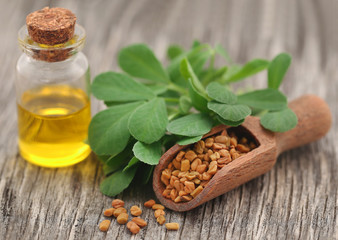Fenugreek seeds with oil in bottle