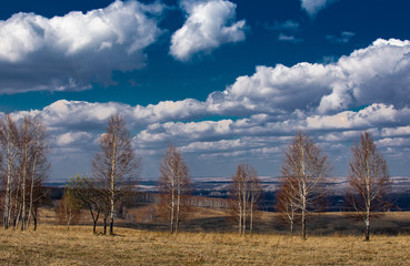 trees in autumn and clouds