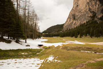 Fototapeta na wymiar Beautiful mountain scenery in the Alps with fresh green meadows in bloom on a beautiful sunny day in springtime. Dolomiti montains in Italy. Landscape in spring in Europe