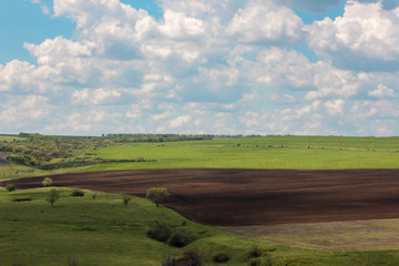 Fototapeta na wymiar rural landscape with field and blue sky