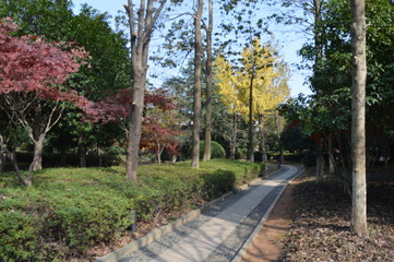 Autumn in Shaoxint