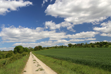Spring Landscape. Field road among Meadows and fields