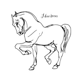 hand-drawn silhouette of a prancing heavy - harnessed white horse on a white background and lettering 