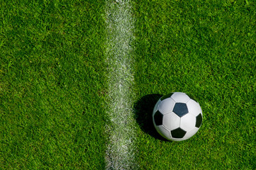 Top views of soccer ball and soccer line on green grass background