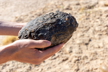 Météorite dans une main © Suzanne Plumette