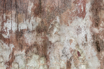 Brownish Old Weathered Wood Texture