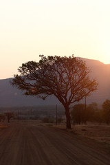 sunset on safari africa