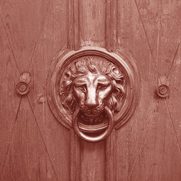 antique door handle, lion head. Coral color