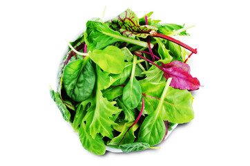 Green leaves for lettuce, spinach, chard, arugula, beet greens on a white isolated background
