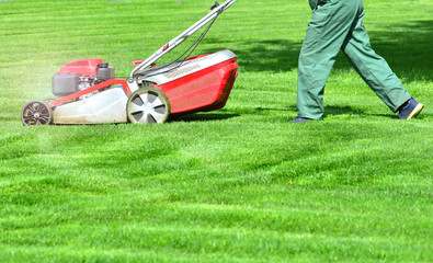Lawn care with lawn mower. Beautiful green grass trimming.