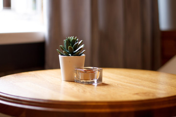 green flower in a white pot on a brown background on the table close-upс