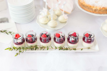 Row of mini panna cotta jars with fresh raspberries. Sweet table at wedding reception or birthday...