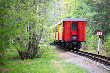 Fototapeta na wymiar The back of the train with a red carriage at the end of the road through a beautiful landscape, Railway.