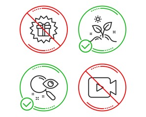 Do or Stop. Search, Surprise gift and Grow plant icons simple set. Video camera sign. Find document, Shopping offer, Leaves. Movie or cinema. Business set. Line search do icon. Prohibited ban stop