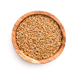 Healthy spelt grains.