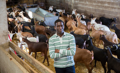 Confident African-American man in goat barn