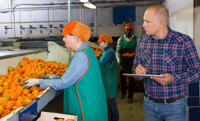 farmer controlling grading and packing of mandarin oranges performing by female workers