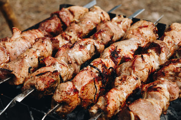 Closeup of some meat skewers being grilled in a barbecue