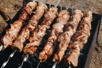 Closeup of some meat skewers being grilled in a barbecue