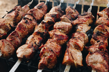 Closeup of some meat skewers being grilled in a barbecue