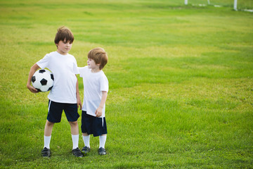 Two boys with a soccer ball on the grass.