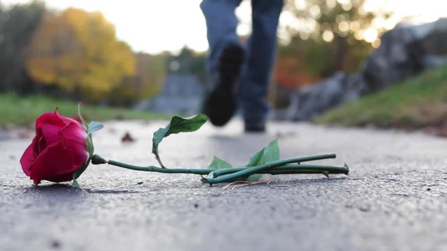 Low Angle Close Up of Dropped Falling Red Rose Flower on Asphalt Trail and Male Legs Walking Away From Scene Expressing Displeasure