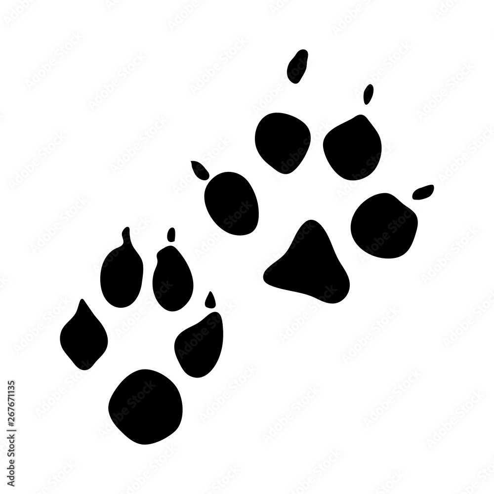 Sticker Racoon Dog Footprint