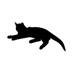 Cat Silhouette