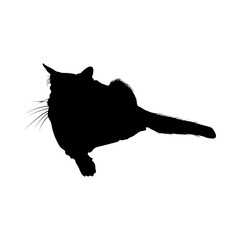 Cat Silhouette