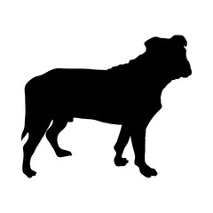 Rottweiler Dog Silhouette