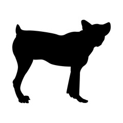 Sheep Dog Silhouette