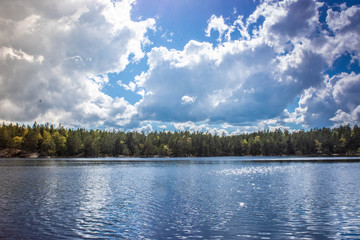 Obraz na płótnie Canvas Lake Forest
