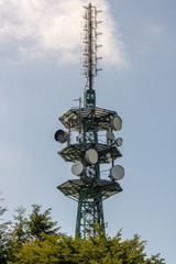 Cellphone tower against sky above bushes