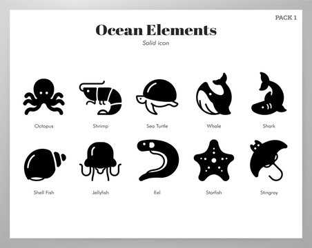 Ocean elements Solid pack