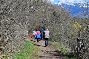  Marche au Mont Saint-Michel, Massif des Bauges, Savoie, Auvergne-Rhône-Alpes, France