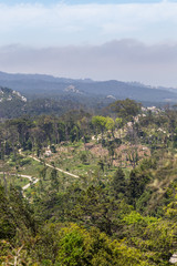Fototapeta na wymiar natural forest park Pena in Sintra, Portugal