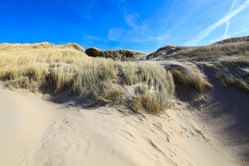 Dünenlandschaft an der holländischen Küste