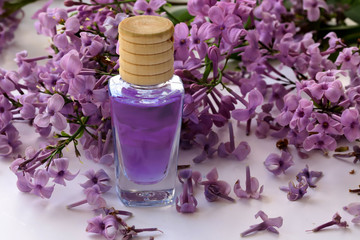 Obraz na płótnie Canvas lilac flower essence ; Syringa vulgaris