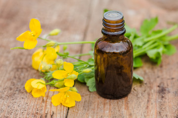 pharmaceutical bottle of medicine from Yellow flowers of Chelidonium majus, celandine, nipplewort, swallowwort or tetterwort on a wooden table. Growing on street blooming in spring celandine.