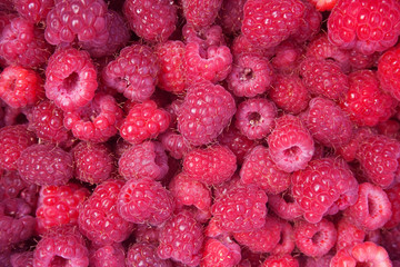 Heap of red raspberries