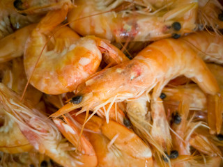 on the table a lot of cooked shrimp