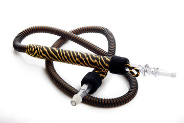 Hose for hookah.