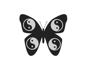 butterfly isolated on white background