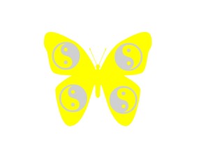 butterfly isolated on white background