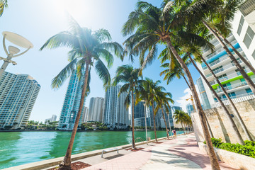 Sun shining over Miami Riverwalk - obrazy, fototapety, plakaty