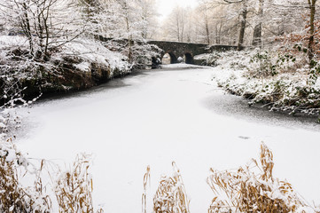 Minnowburn River, Belfast, frozen and covered in snow