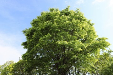 馬見丘陵公園